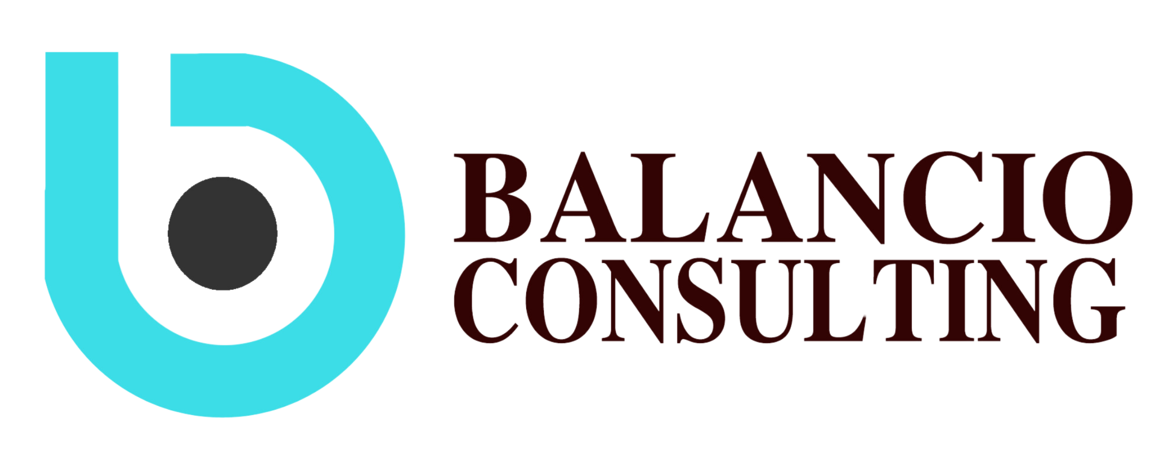 Jasa Akuntansi Profesional